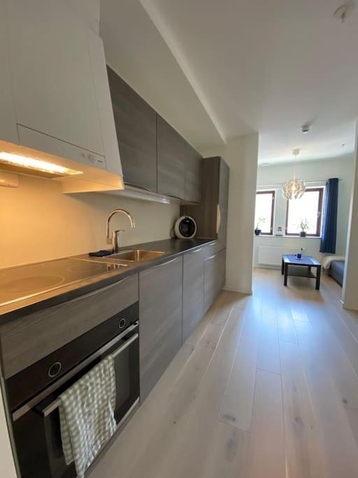 Moderne Leilighet Midt I Sentrum Av 腓特烈斯塔 外观 照片