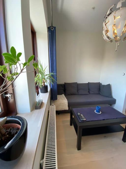 Moderne Leilighet Midt I Sentrum Av 腓特烈斯塔 外观 照片